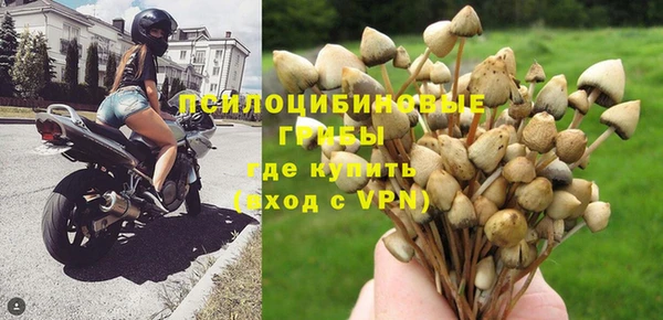 молекула духа Абдулино